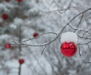 Your Epic Guide To Christmas In Vail The Mountain Travelist   Christmas In Aspen Colorado Mountains 300x245 